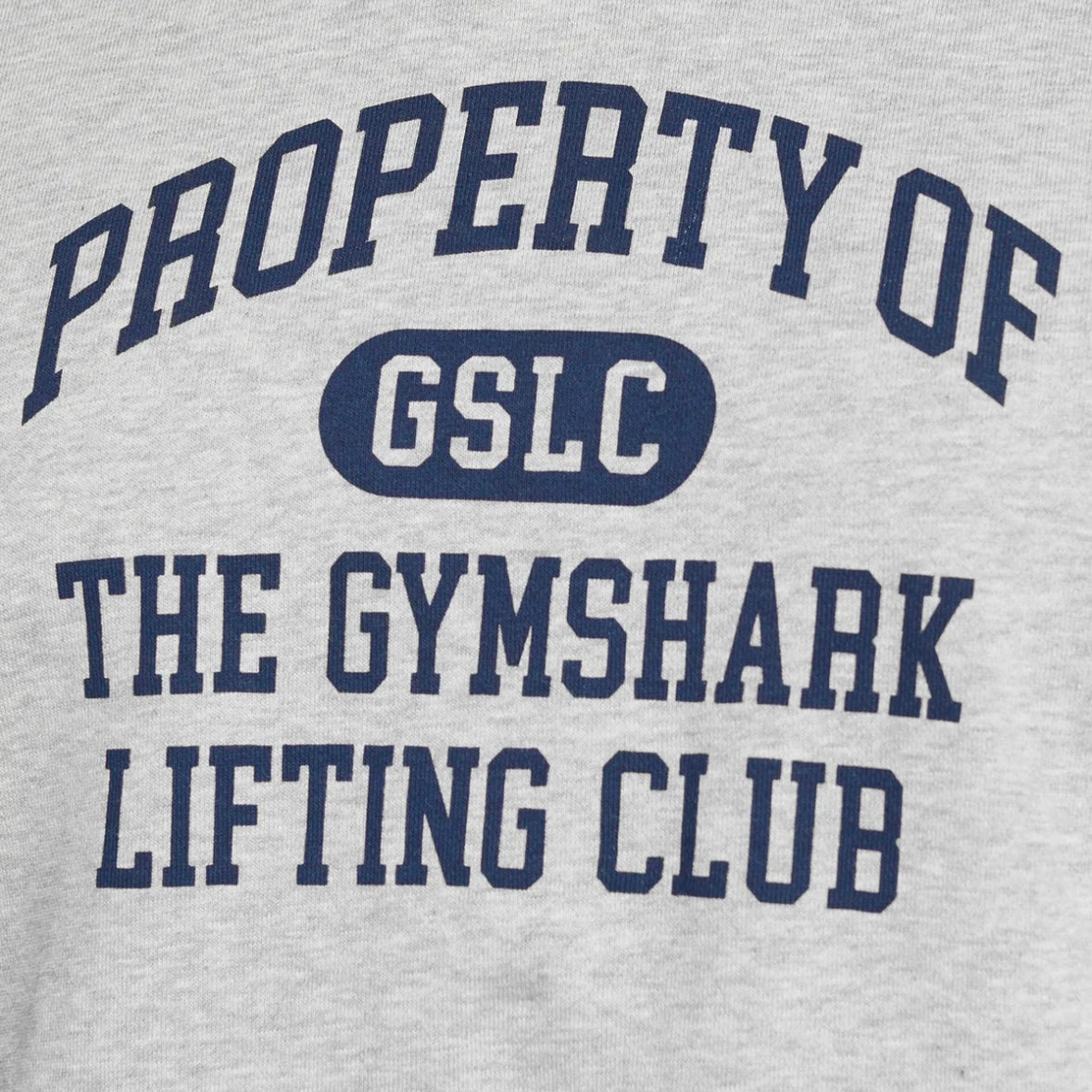 GYMSHARK - PROPERTY OF HOODIE