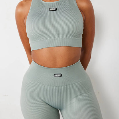 VANQUISH - RIBBED SEAMLESS LEGGINGS