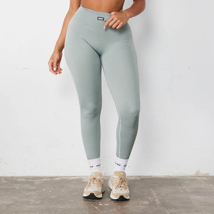 VANQUISH - RIBBED SEAMLESS LEGGINGS