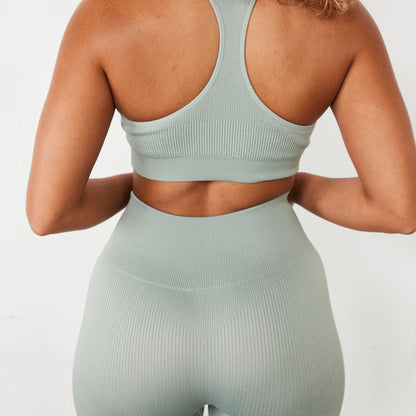 VANQUISH - RIBBED SEAMLESS LEGGINGS